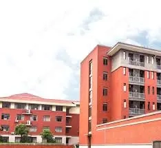 case,tricouri,microfoane ,troleie,prieteni 