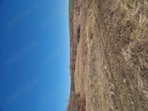 PF Vand teren intravilan in Chinteni - imagine 2