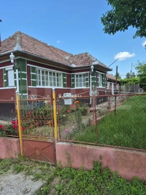  Oportunitate investițională – Casă cu teren extins in Comuna Geaca  - imagine 2