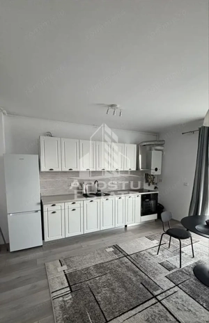 Apartament 1 camera,loc de parcare , Centrala  proprie, Timis, Giroc - imagine 2
