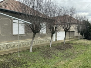 Casa de vanzare in Iratosu - imagine 7