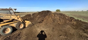 Mranita, pamant vegetal sau nisipos