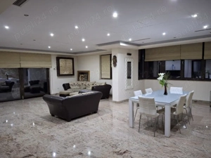 Vila cocheta cu posibilitati multiple de investitie - imagine 3