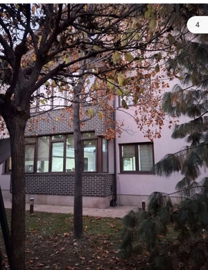 Vila cocheta cu posibilitati multiple de investitie