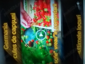 Angajam cupluri cu plecare imediata 