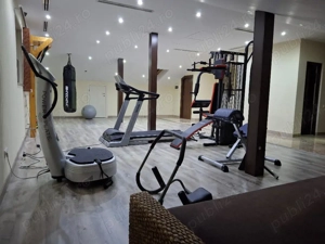 Vila cocheta cu posibilitati multiple de investitie - imagine 16