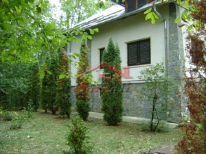 Vila Cornu D+P+E Cornu - imagine 5