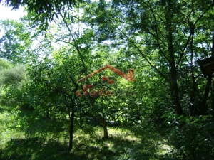 Teren de vânzare în Breaza– zonă liniștită, ideal pentru relaxare - imagine 13