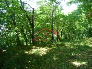Teren de vânzare în Breaza– zonă liniștită, ideal pentru relaxare - imagine 19