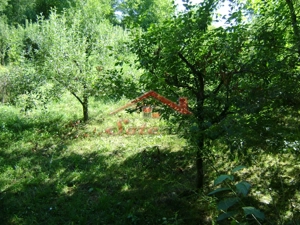 Teren de vânzare în Breaza– zonă liniștită, ideal pentru relaxare - imagine 18