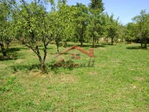 Teren  de vanzare Cornu 1919 mp