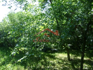 Teren de vânzare în Breaza– zonă liniștită, ideal pentru relaxare - imagine 11