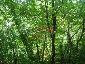 Teren de vânzare în Breaza– zonă liniștită, ideal pentru relaxare - imagine 20