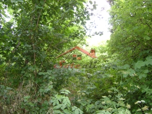 Teren  de vanzare Cornu 643 mp