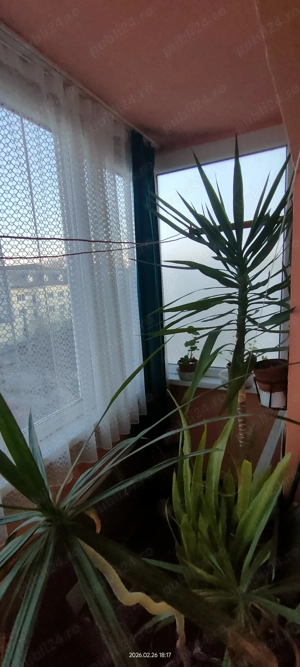 Apartament 2 camere Sagului de vânzare  - imagine 5