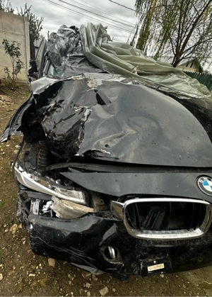 Bmw F31 2017 2.0d - 3800  - imagine 3