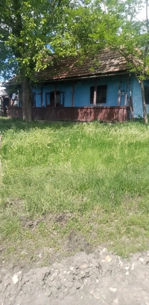 Vand casă la tara 