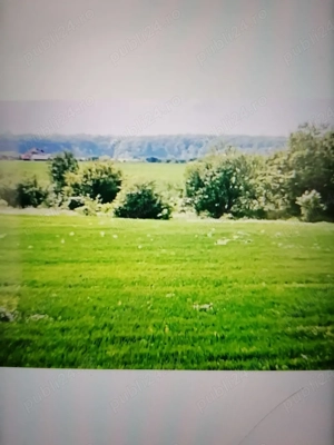 Teren intravilan 1686 mp, Domnești jud Ilfov 