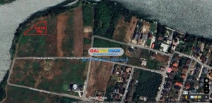 Mogosoaia 2.019 Mp LAC - IDEAL INVESTITIE - imagine 6