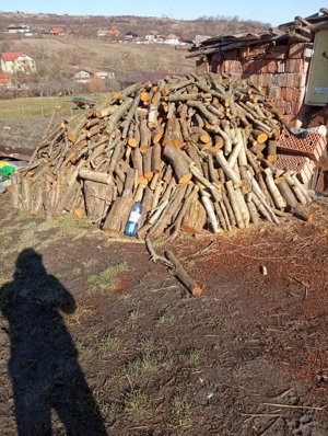 Vând lemne de foc taiate