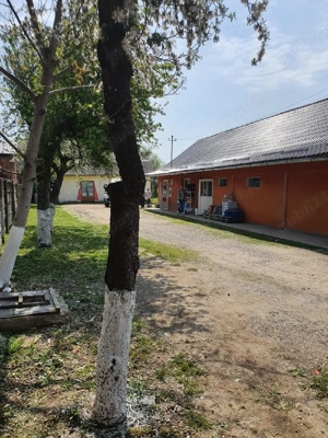 Vand magazin alimentar - imagine 8