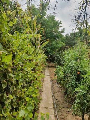 Casa de vanzare si teren, apropiere de Bucuresti - imagine 6