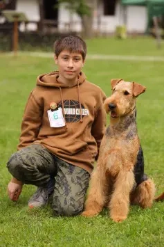 catei airedale terrier din parinti campioni - imagine 3