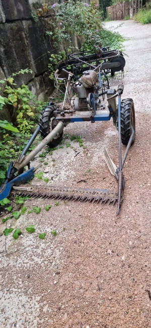 vand cositori cu carut dupa ele  - imagine 5