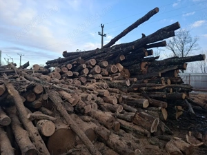 vând lemne de foc esență tare cer,fag,carpen,stejar cantitate garantata  transport gratuit  lemnele  - imagine 3