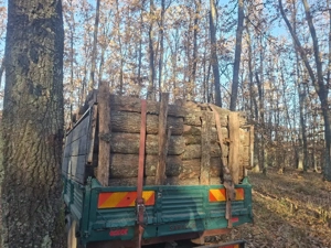 vând lemne de foc esență tare cer,fag,carpen,stejar cantitate garantata  transport gratuit  lemnele  - imagine 4