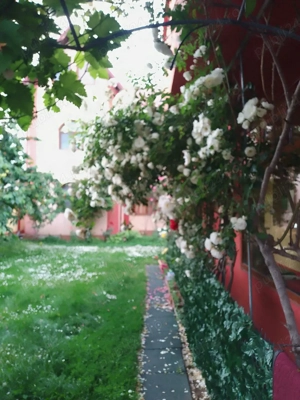 vanzare case - imagine 2