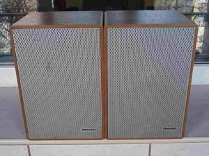 Boxe CANTON Magnum SE 60,2 cai,35-60 w,4-8 ohm,monitoare Germany