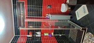 Vila P+1et,Mamaia Nord,str E1 - imagine 6