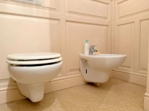 Reședință statement în Piața Victoriei - imagine 11