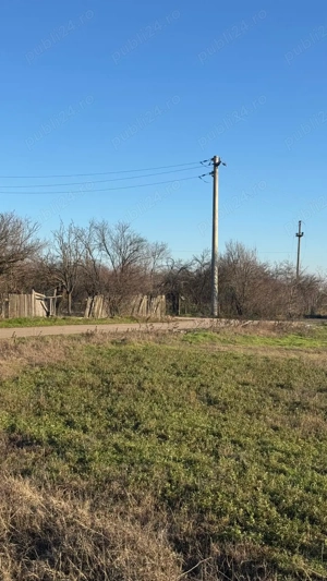 Vand teren Intravilan 1400 MP in Parcul National Comana - Vlad Tepes - Giurgiu - imagine 2