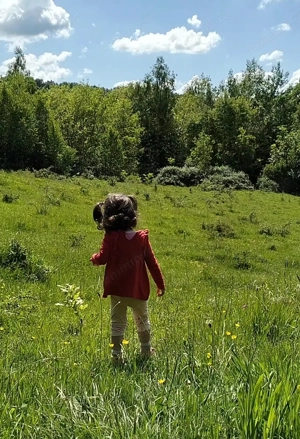 Fără agenție, teren extravilan pădure cu fâneață și vecini, izvoare, sud-vestic - imagine 3