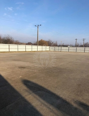 Inchiriere Hala Industriala 450 mp, Bucov - 4,5 euro/mp - imagine 7