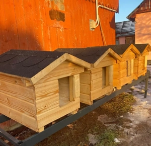 Cușca câine, lambriu sau scândură 