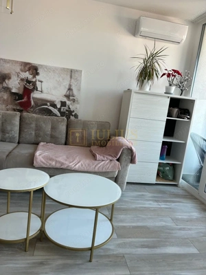 2 camere, vedere spre Bega-apartament deosebit , centrala proprie - imagine 2