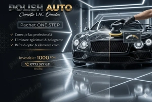 Polish Profesional One Step, Corectie Lac Auto, 1000 RON, Oradea! 