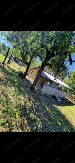 Casă si anexe + terenuri de vânzare  - imagine 2