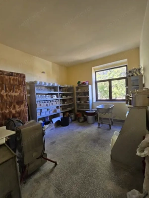 Cenad-Posibilitate Afacere-casa si 669mp teren-Ultracentral - imagine 4