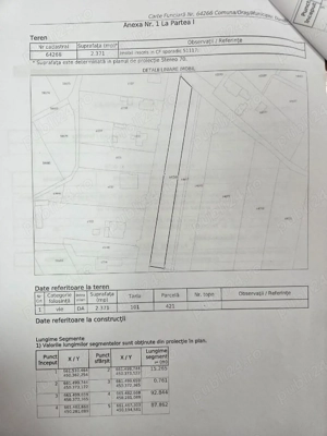Teren intravilan cu vie la drum 2371 mp