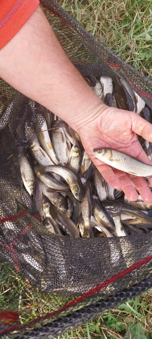 van puiet de ten  - imagine 4