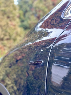 Renault Kadjar   Black Edition   2016   194.000 KM   Panoramic   Piele   Rate   Garantie  - imagine 13