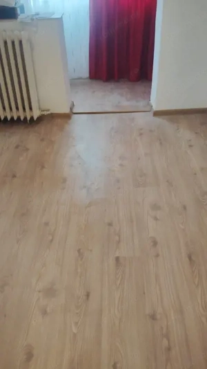 Blascovici - Apartament 2 Camere - Etaj inferior - imagine 4