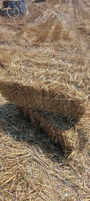 vand baloti dreptunghiulari paie 