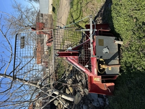 Troliu forestier  - imagine 4