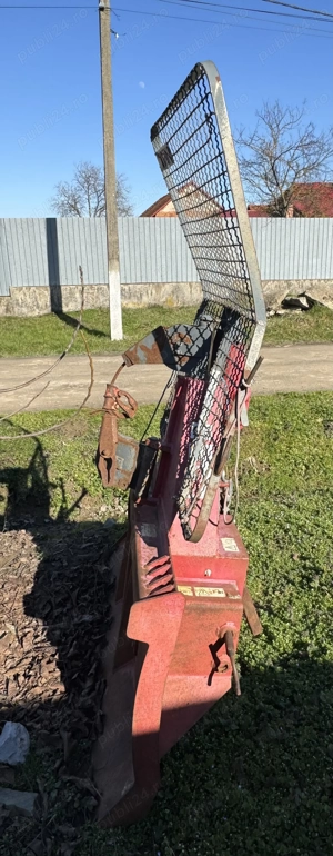 Troliu forestier  - imagine 3