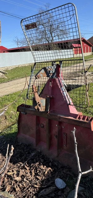 Troliu forestier  - imagine 2